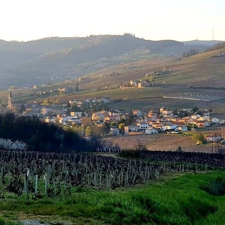 Apartamento Au Coeur Des Vignes Chenas Du Beaujolais La Chapelle-de-Guinchay Exterior foto