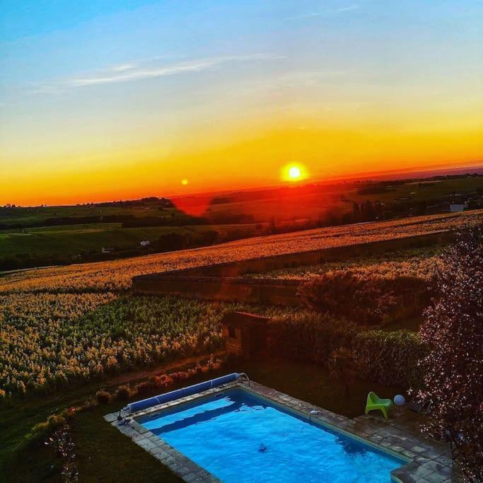 Apartamento Au Coeur Des Vignes Chenas Du Beaujolais La Chapelle-de-Guinchay Exterior foto