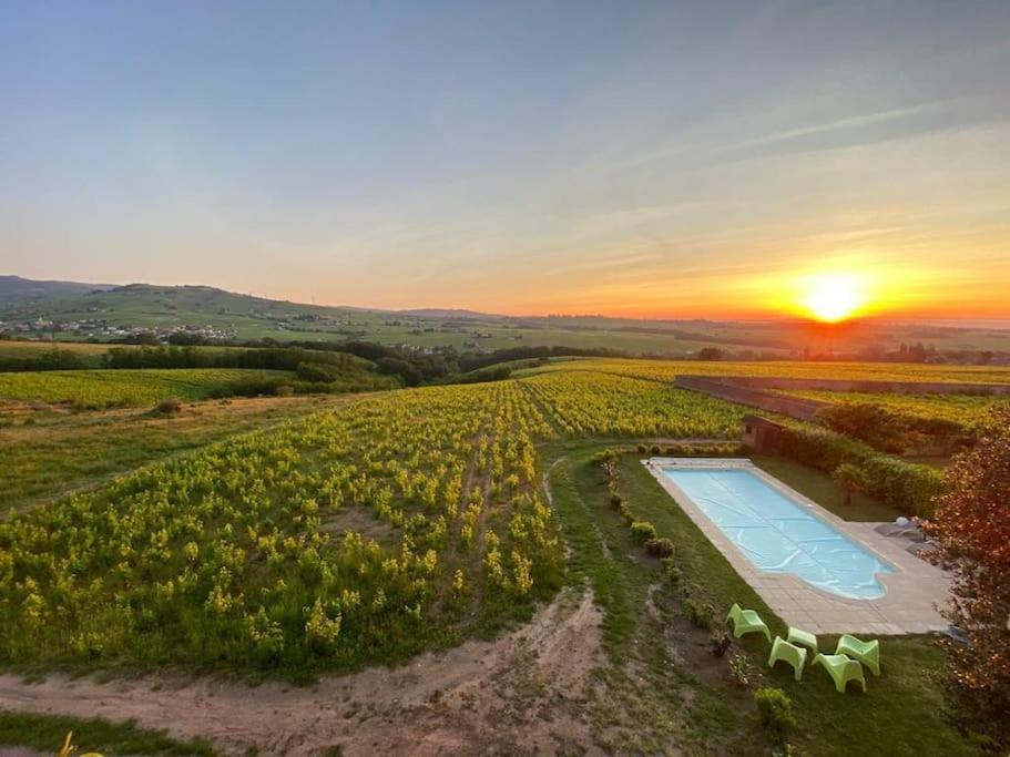 Apartamento Au Coeur Des Vignes Chenas Du Beaujolais La Chapelle-de-Guinchay Exterior foto