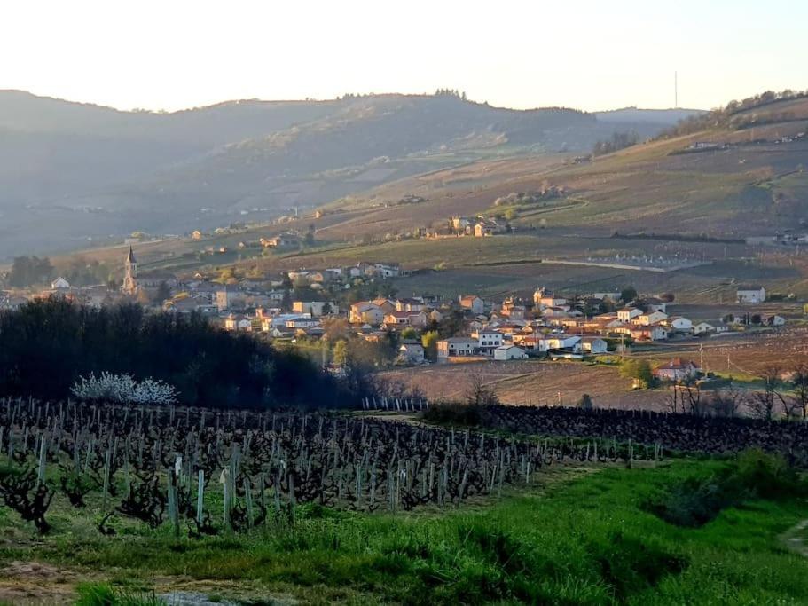 Apartamento Au Coeur Des Vignes Chenas Du Beaujolais La Chapelle-de-Guinchay Exterior foto